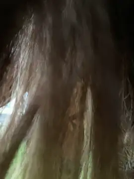 Alimela 现场XXX聊天