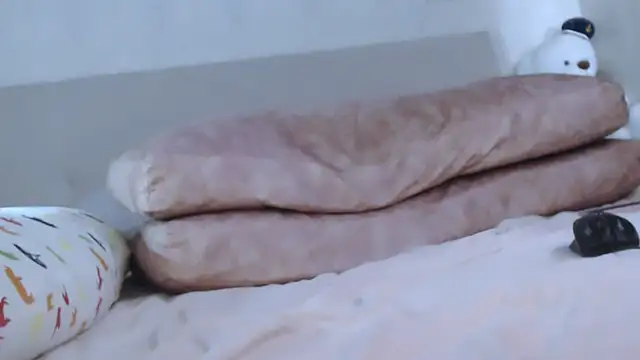 Pertunjukan Kamera Web SkandalEva