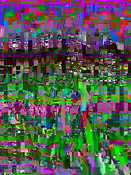 Chat XXX en directo de VelvetBlossom