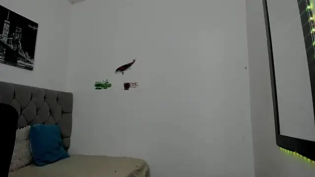 _1DERECK's Webcam Show