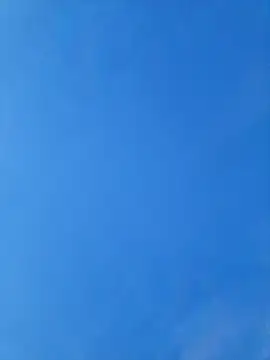 Онлайн чат XXX yourMasterisBored