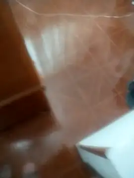 Jesucristo7654 webcam show