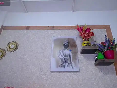 OverStyle Webcam show