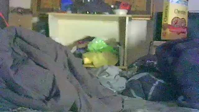 GUAPAN3S3_FIR3's Live XXX Chat