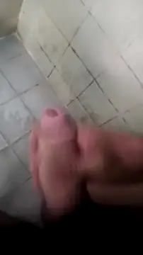 mendelicius' Live XXX Chat