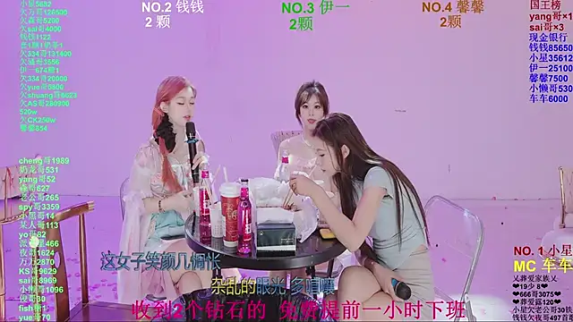 ZZ00033S Webcam show