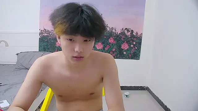 Show Webcam de icecream-002