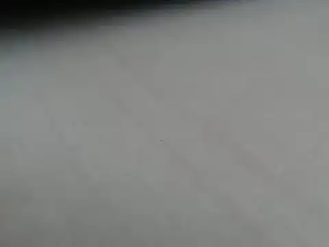 steelwings1976 웹캠 쇼