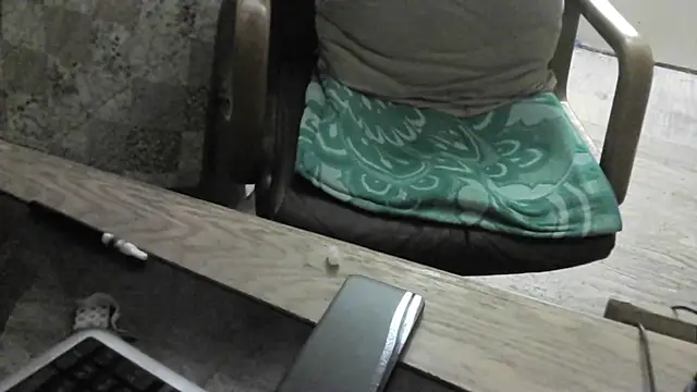 FiSTALiTY Pertunjukan Webcam