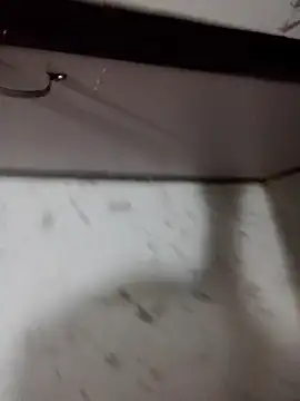 roc321のウェブカメラショー