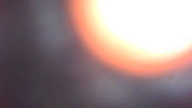 Orchideaxx 现场XXX聊天