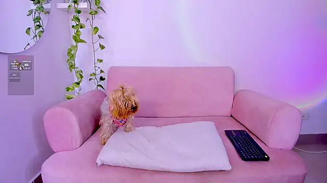 Catbaby888_ Live XXX-Chat