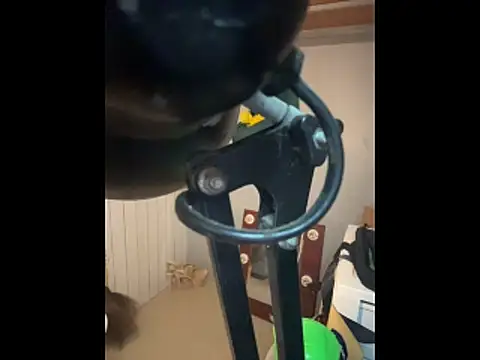 Show de ximenquintana na webcam