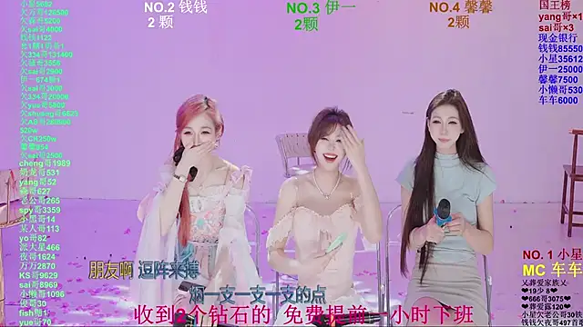 Show Webcam de ZZ00033S