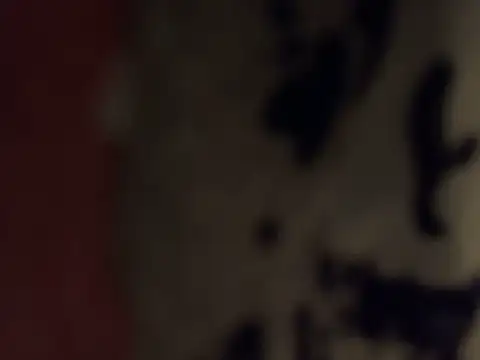 Pokazy przed kamerką – skatebored