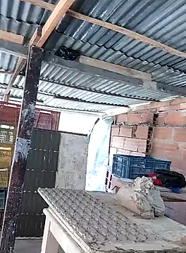 hotederのライブXXXチャット