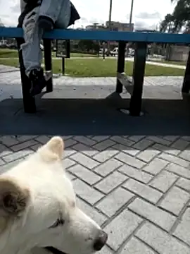 Ten0Camilo01 Show Webcam