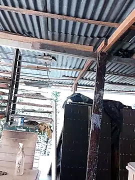 hotederのウェブカメラショー