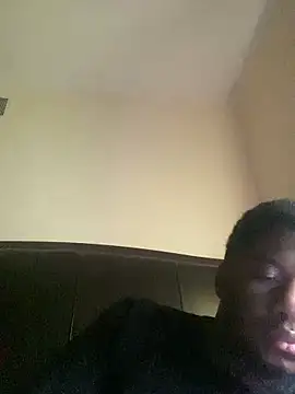 ThickDic28 Show in webcam