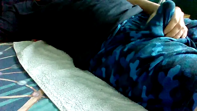 Show Webcam de Beseb2