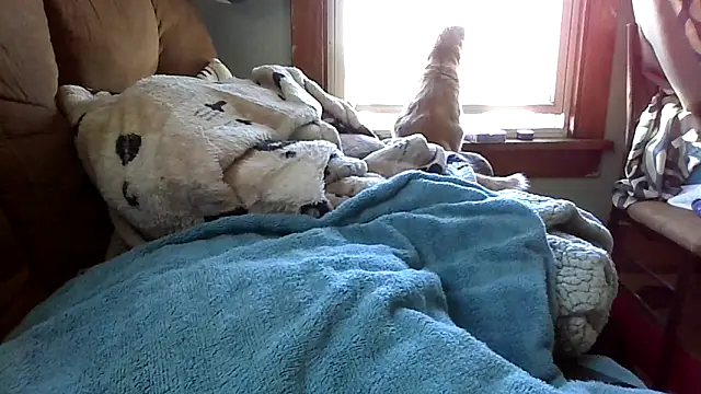 Bigloggz Live XXX-Chat