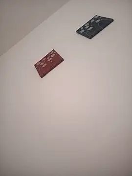 SOLTEIRASIGILO Live XXX-chat