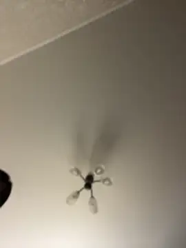 Poly_Nick webkamerás műsora