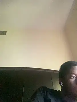 Show webcam de ThickDic28