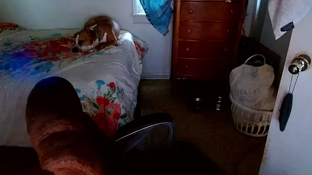 Chat XXX Live DADDY_KANE8---