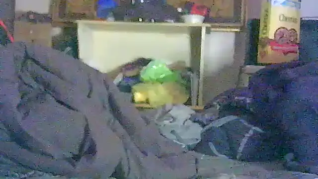 GUAPAN3S3_FIR3 Live XXX-chat