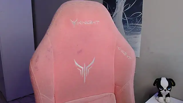 SaxonDibs Webcam show