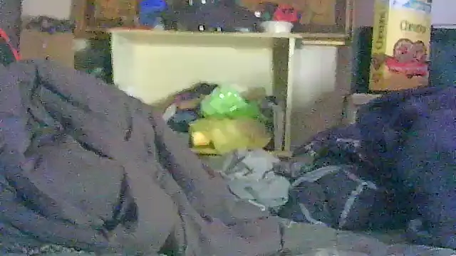 Show Webcam de GUAPAN3S3_FIR3