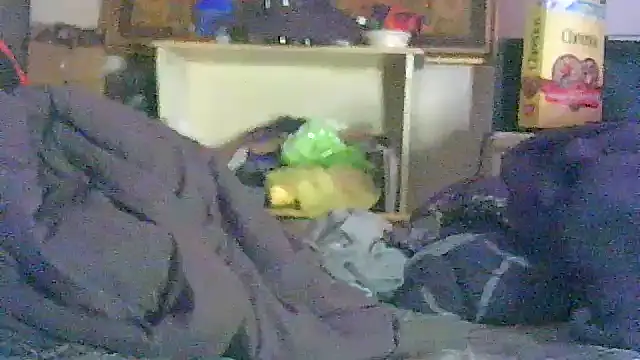 GUAPAN3S3_FIR3 লাইভ XXX চ্যাট