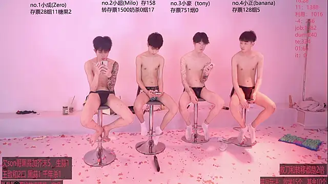 Show webcam de woshididimen