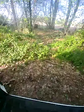 goldenhead1 – Kamerová šou