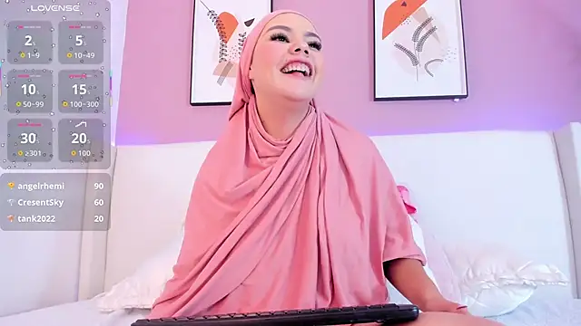 _Saandyn Webbikameraesitys