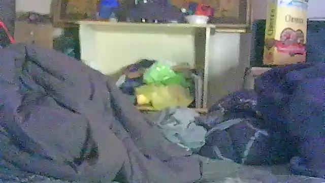 GUAPAN3S3_FIR3's Live XXX Chat