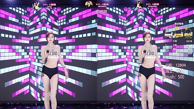 SK-001 webkamerás műsora