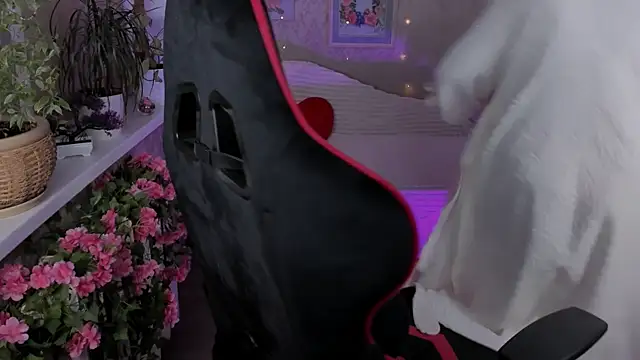 sugar_vivien Chat XXX in diretta