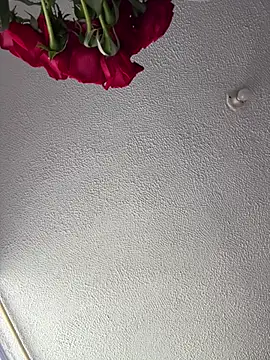 Show de ariiel_ na webcam