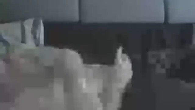 Pokazy przed kamerką – chceciedalsiebie