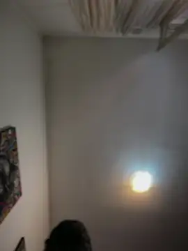 Show de SecretlyDD na webcam