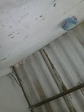 دردشة PatriciaGrajales الجنسية المباشرة