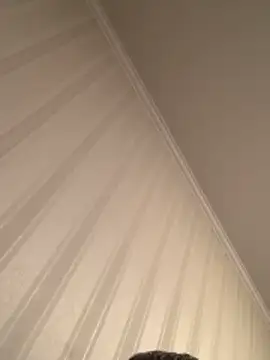 Frosl: διαδικτυακό σόου στην κάμερα