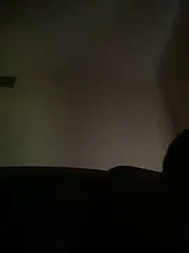 ThickDic28 webcam show