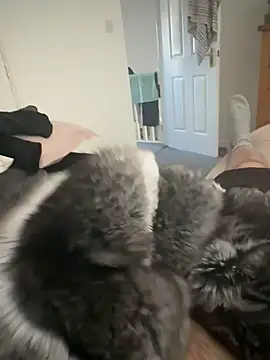 عرض كام Furdale