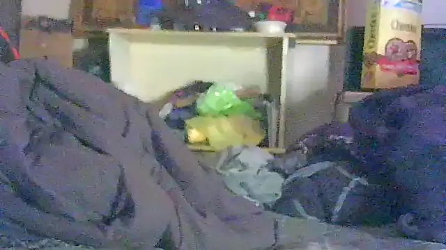 GUAPAN3S3_FIR3 Live XXX-chat