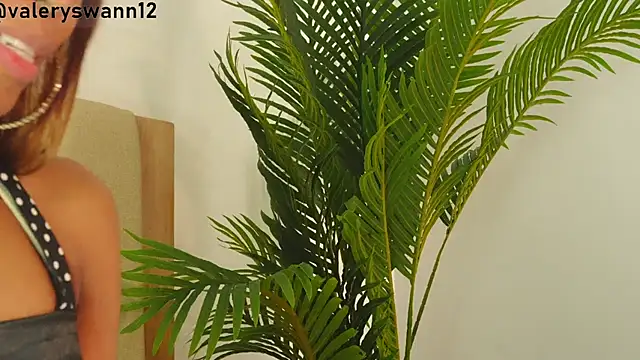 Valery_Swan1 Webcam Show