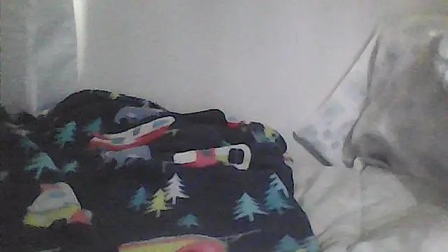 sarahkat86's Webcam Show