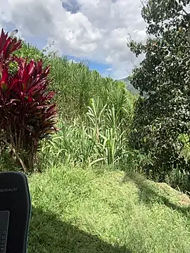 Marco_Vega Pertunjukan Webcam